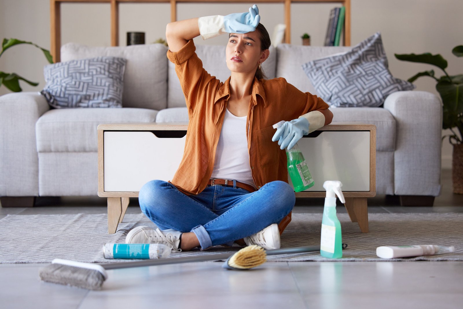 Spotless comfort house cleaning