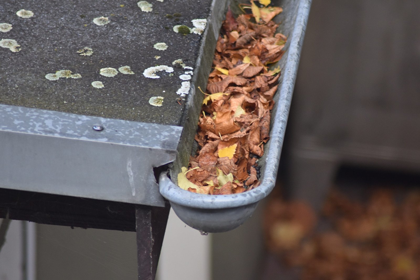 gutter cleaning doncaster